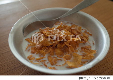 シリアル 57795036