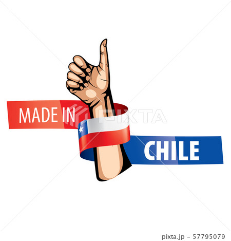 Chile flag, vector illustration on a white background. 57795079