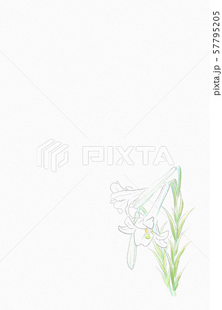 喪中はがき　ユリ 57795205