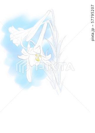 喪中はがき　ユリ 57795207