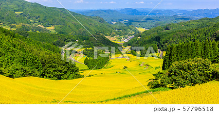 蕨野の棚田（大平の棚田）　パノラマ　【佐賀県唐津市】 57796518