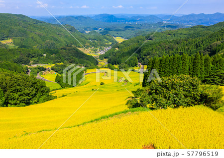 蕨野の棚田（大平の棚田）　【佐賀県唐津市】 57796519