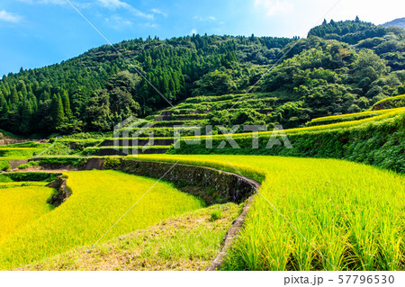 蕨野の棚田（大平の棚田）　【佐賀県唐津市】 57796530