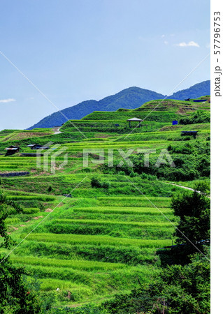 姨捨の棚田 57796753