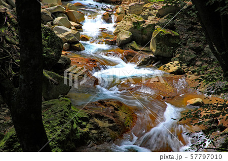 八方ヶ原 スッカン沢 八方ヶ原 スッカン沢 57797010