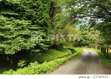 小田貫湿原（秋） 57797472