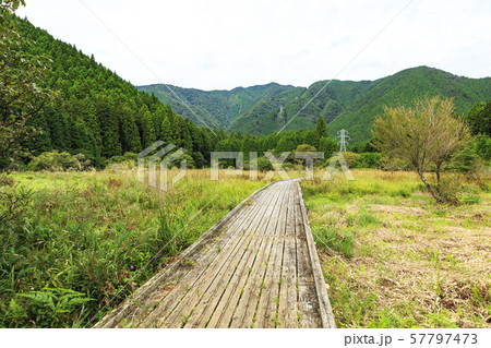 小田貫湿原（秋） 57797473