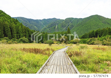 小田貫湿原（秋） 57797474