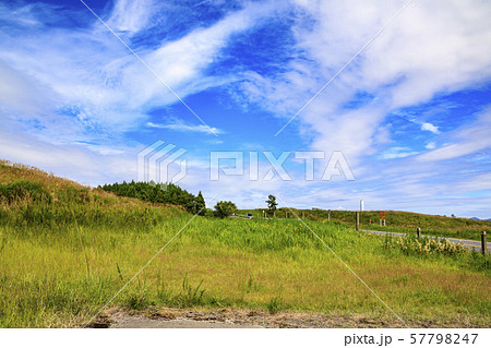 ススキ（秋） 57798247