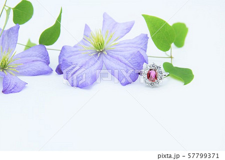 指輪　ダイヤモンド　ルビー 57799371