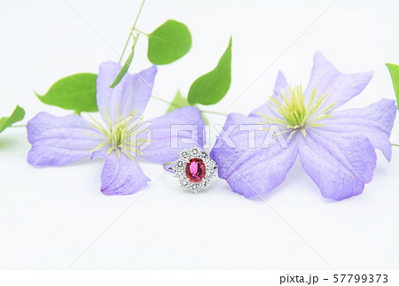 指輪　ダイヤモンド　ルビー 57799373