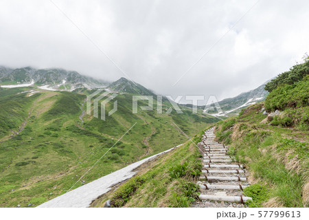 雷鳥沢キャンプ場から一ノ越登山道 (母恋坂ルート) 雷鳥沢キャンプ場から一ノ越登山道 (母恋坂ルート) 57799613