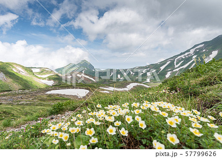雷鳥沢キャンプ場から一ノ越登山道 (母恋坂ルート) 雷鳥沢キャンプ場から一ノ越登山道 (母恋坂ルート) 57799626