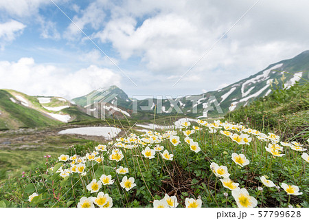 雷鳥沢キャンプ場から一ノ越登山道　（母恋坂ルート） 57799628