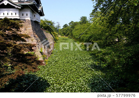 夏の弘前城 夏の弘前城 57799976