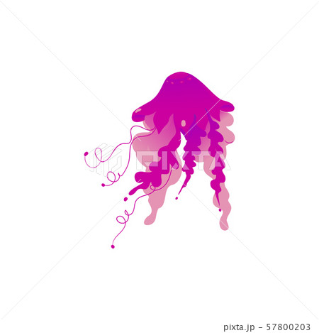 Purple pink jellyfish drawing isolated on white background 57800203