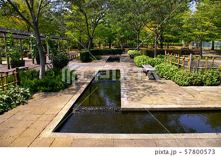 夏の弘前城植物園 夏の弘前城植物園 57800573