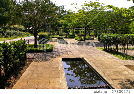 夏の弘前城植物園 夏の弘前城植物園 57800575