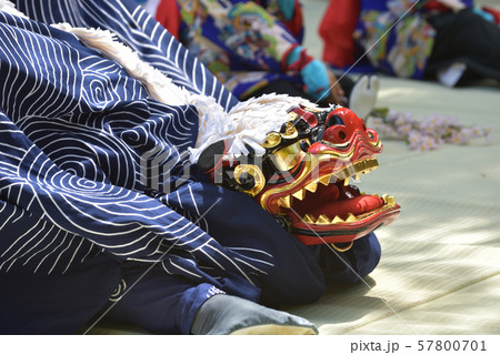獅子舞 兵庫県市川町 甘地の獅子舞 獅子舞 兵庫県市川町 甘地の獅子舞 57800701