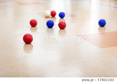 ボッチャ 障害者スポーツ レクレーション 57802103