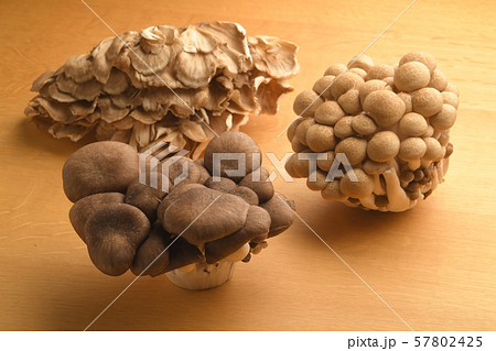 3種のきのこ しめじ 舞茸 霜降り平茸 3種のきのこ しめじ 舞茸 霜降り平茸 57802425