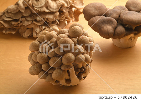 3種のきのこ しめじ 舞茸 霜降り平茸 3種のきのこ しめじ 舞茸 霜降り平茸 57802426