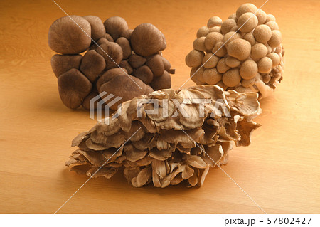 3種のきのこ しめじ 舞茸 霜降り平茸 3種のきのこ しめじ 舞茸 霜降り平茸 57802427