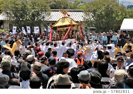 和歌祭り　和歌山 57802831