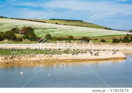 Walk along Cuckmere river, Sussex Walk along Cuckmere river, Sussex 57803679