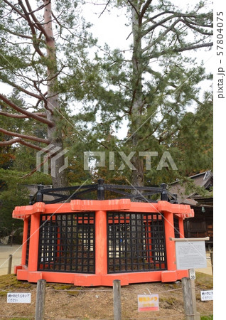 高野山･壇上伽藍の「三鈷の松」（高野山 金剛峰寺／和歌山県伊都郡高野町高野山） 57804075