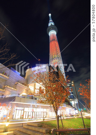 東京スカイツリーの夜景（キャンドルツリー） 57804800