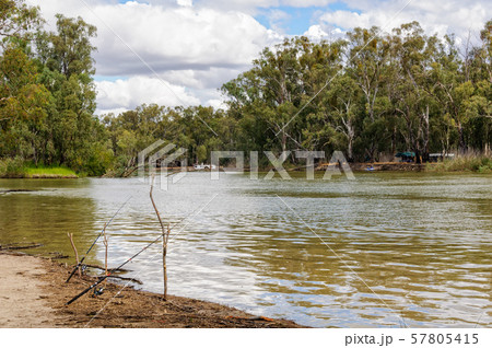 Fishing - Barmah National Park Fishing - Barmah National Park 57805415