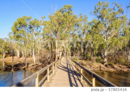 Horseshoe Lagoon - Moama 57805416