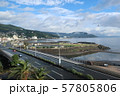 相模湾 57805806