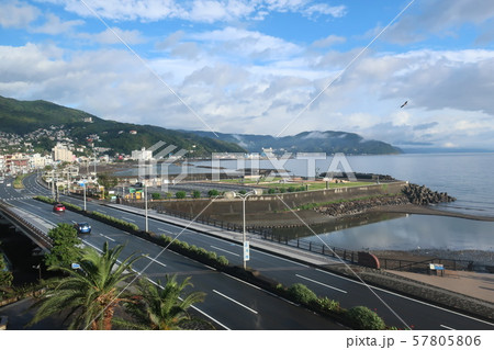相模湾 57805806