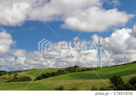 苫前町の風車群 57805858