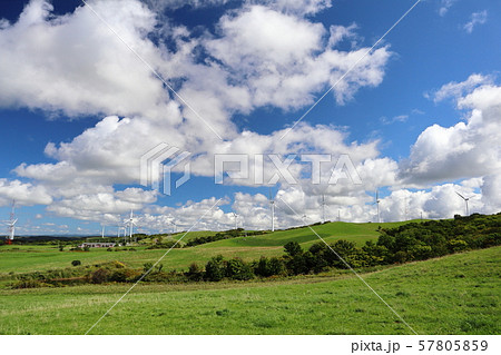 苫前町の風車群 57805859