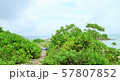 沖縄　曇り空　糸満　海　倒れている人 57807852