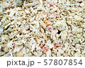 沖縄　曇り空　糸満　海　ヤドカリ　浜 57807854