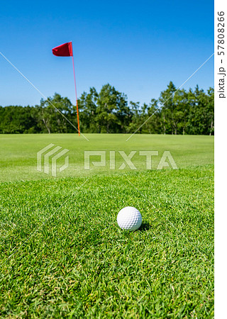 ゴルフ場 パッティンググリーン ピンフラッグ 57808266