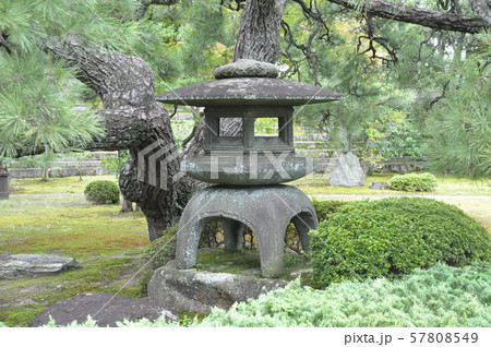 二条城本丸庭園の石灯籠と木 二条城本丸庭園の石灯籠と木 57808549