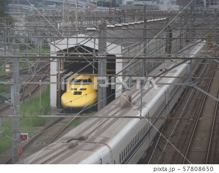 ドクターイエロー　大井車両基地にて 57808650