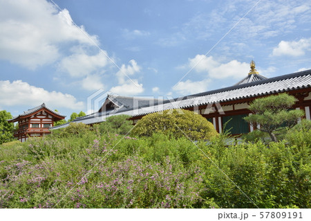 【奈良県】薬師寺・玄奘三蔵院伽藍(玄奘塔) 【奈良県】薬師寺・玄奘三蔵院伽藍(玄奘塔) 57809191