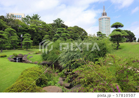 初秋の見浜園。県立幕張海浜公園（9月）千葉県千葉市美浜区 57810507