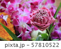 Lotus orchid flower 57810522