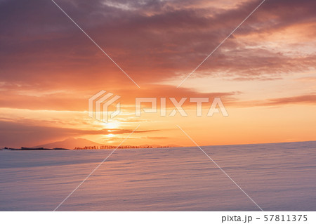 北海道・大空町 朝焼けのオーヴェルの丘 57811375