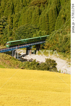 色付く稲穂と高原リゾートエクスプレス・ゆふいんの森 色付く稲穂と高原リゾートエクスプレス・ゆふいんの森 57811704