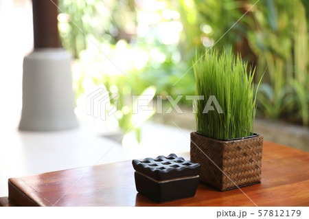 テーブルに置かれた稲の苗 57812179