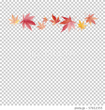 Frame fallen leaves dead leaves maple watercolor - Stock Illustration ...