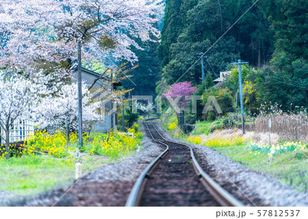 桜　春　無人駅　豊後中川駅 57812537